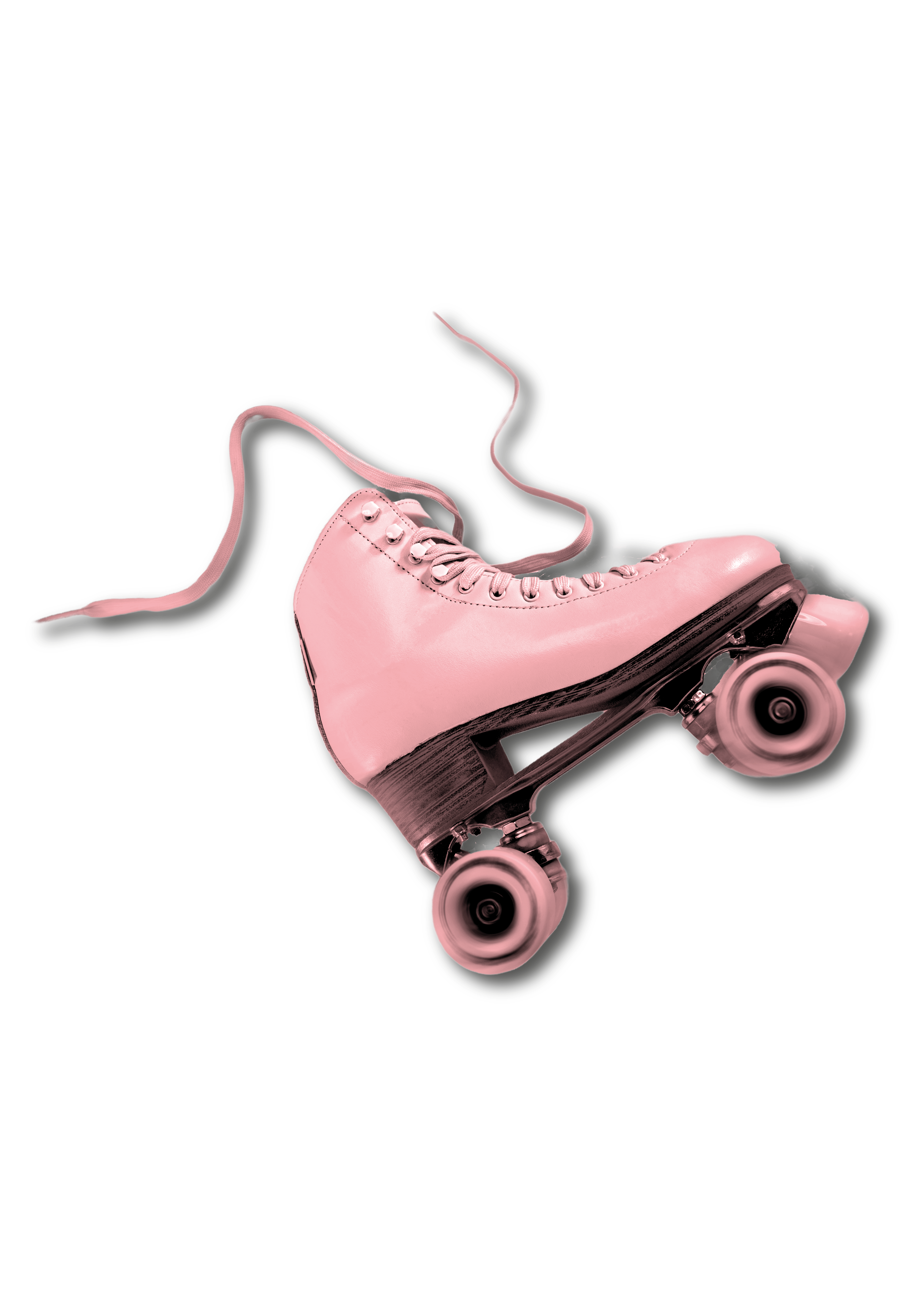 Patin 1-min Patin 1-min